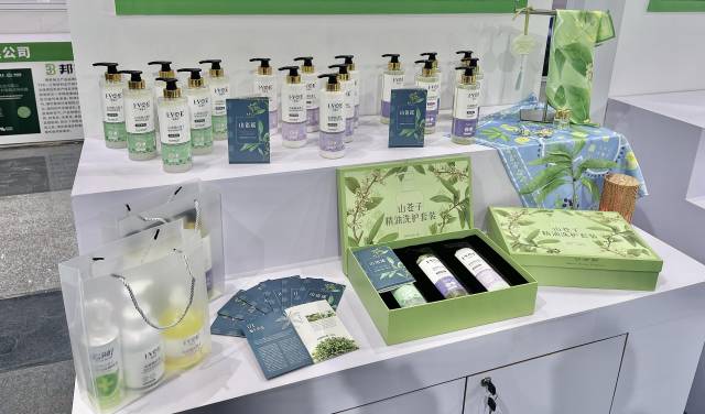 生：粤北山野“小辛香”如何迈向“大市场”PG电子麻将胡了2模拟器一颗山苍子的新(图4)